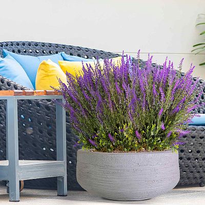 IDEALIST Lite Ribbed Light Concrete Bowl Planter