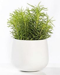 Fibrestone Matt Kevan Round Planter by Idealist Premium