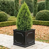 IDEALIST Lite Chelsea Flower Box Square Garden Planter, Faux Lead Dark...