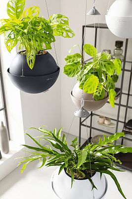 LECHUZA BOLA Color Round Poly Resin Self-watering Planter