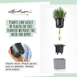 LECHUZA CANTO Stone Low Square Poly Resin Self-watering Planter Set