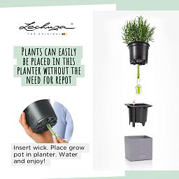 LECHUZA CANTO Stone Low Square Poly Resin Self-watering Planter Set