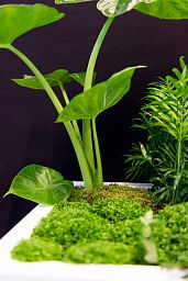 Square Fiberstone Planter by Idealist Premium JUMBO