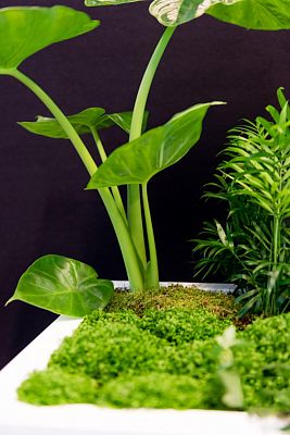 Square Fiberstone Planter by Idealist Premium JUMBO