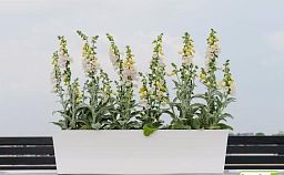 WINDOW BOX Fiberstone Planter by Idealist Premium Balcony BEAU Glossy