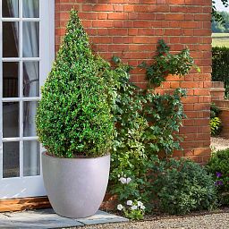 IDEALIST Lite Contemporary Light Concrete Egg Planter