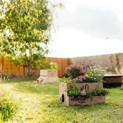 WildPod Mini 2-in-1 Outdoor Planter and Wildlife House by Bio Scapes