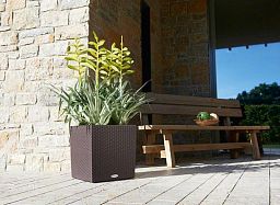 LECHUZA CUBE Cottage Square Poly Resin Self-watering Planter