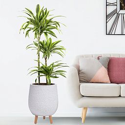 IDEALIST Lite Honeycomb Style Egg Planter on Legs, Round Pot Plant Stand Indoor