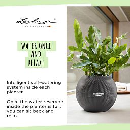 LECHUZA PURO Color Round Poly Resin Self-watering Planter
