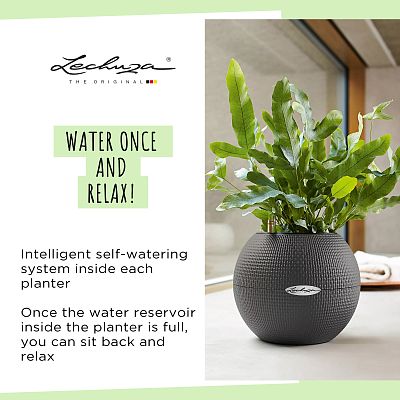 LECHUZA PURO Color Round Poly Resin Self-watering Planter