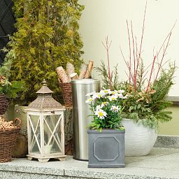 IDEALIST Lite Faux Lead Chelsea Box Square Light Concrete Planter