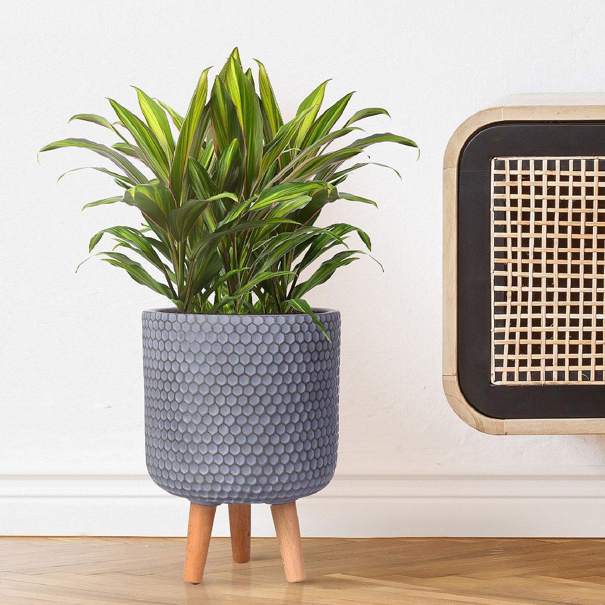 IDEALIST Lite Honeycomb Style Cylinder Planter on Legs, Round Pot Plant Stand Indoor