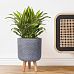 IDEALIST Lite Honeycomb Style Cylinder Planter on Legs, Round Pot Plant Stand Indoor