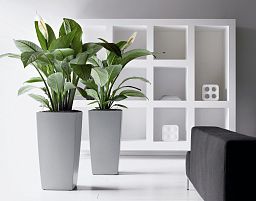 LECHUZA CUBICO Square Tall Poly Resin Self-watering Planter