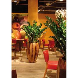 Banana Round Tall Polystone Indoor Planter