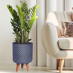 IDEALIST Lite Dotted Style Planter on Legs, Round Plant Pot Indoor