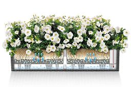 LECHUZA BALCONERA Cottage Trough Poly Resin Self-watering Planter