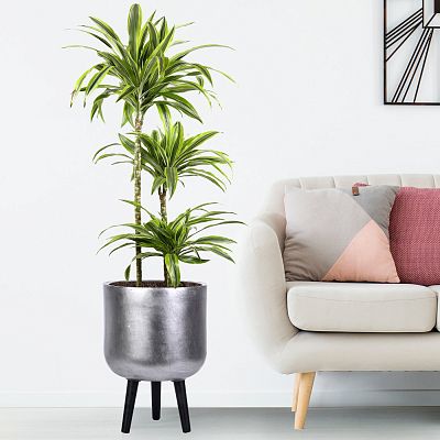 IDEALIST Lite Concrete Effect Round Planter on Legs, Round Pot Plant Stand Indoor