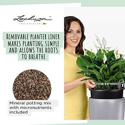 LECHUZA Rondo Round Tall Poly Resin Self-watering Planter