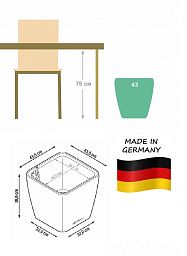 Schefflera Arboricola Gold Capella in LECHUZA QUADRO LS 43 Self-watering Planter, Total Height 180 c