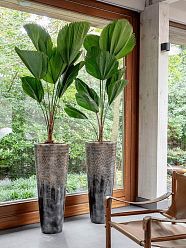 Luxe Lite Universe Comet Tall Indoor Planter