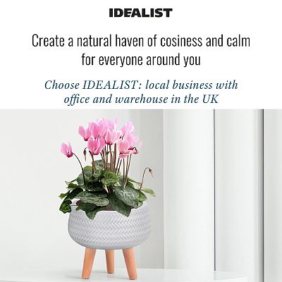 IDEALIST Lite Plaited Style Bowl Planter on Legs, Round Pot Plant Stand Indoor