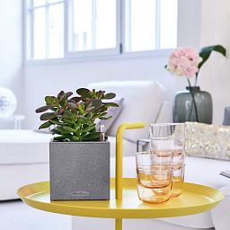 LECHUZA CANTO Stone Square Poly Resin Indoor Self-watering Planter