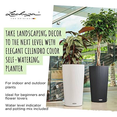 LECHUZA CILINDRO Color Round Tall Poly Resin Self-watering Planter