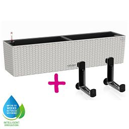 LECHUZA BALCONERA Cottage Trough Poly Resin Self-watering Planter Set