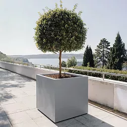 IDEALIST Lite Square Box Contemporary Light Concrete Planter