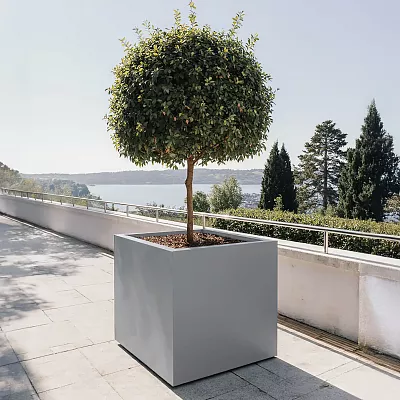 IDEALIST Lite Square Box Contemporary Light Concrete Planter