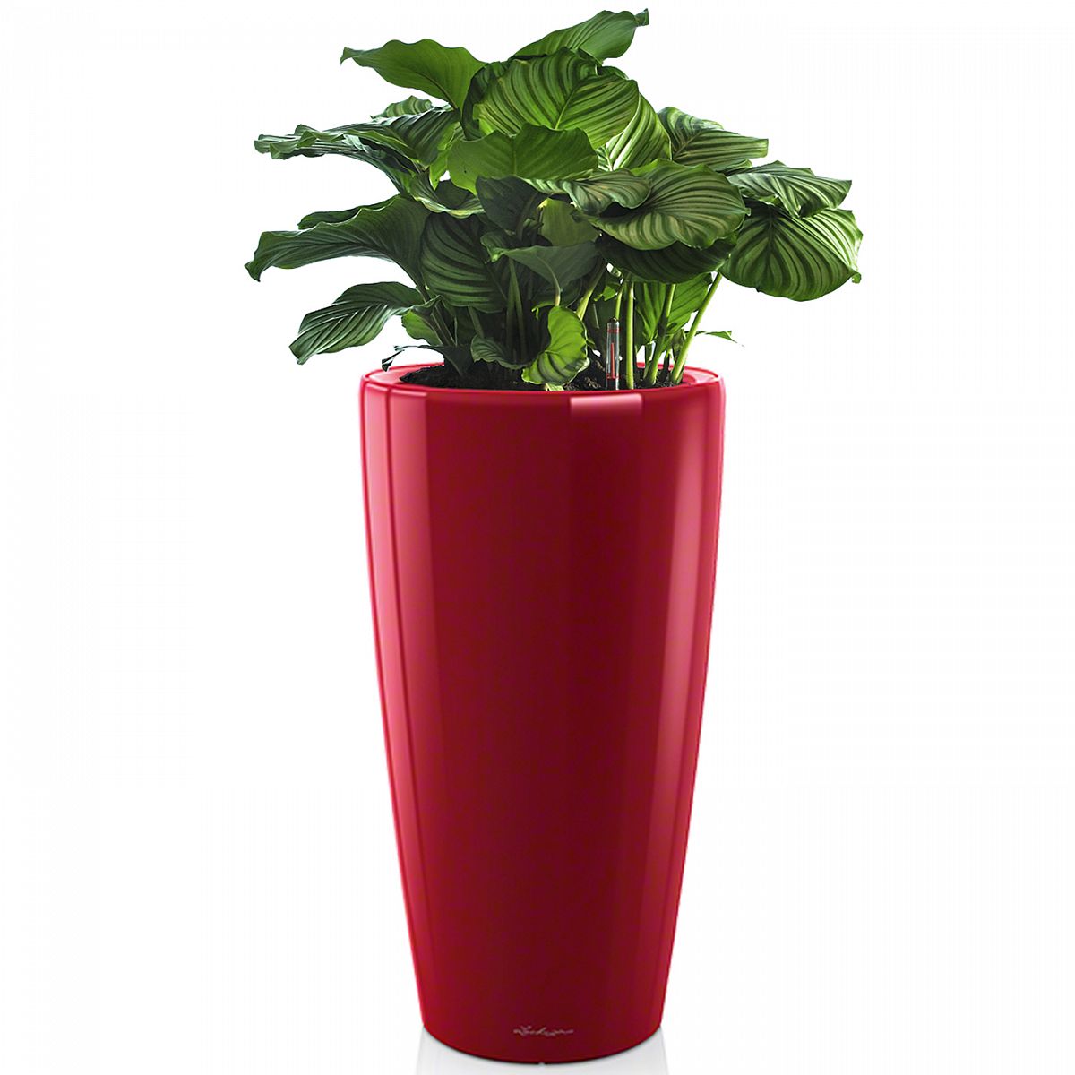 LECHUZA Rondo Round Tall Poly Resin Self-watering Planter