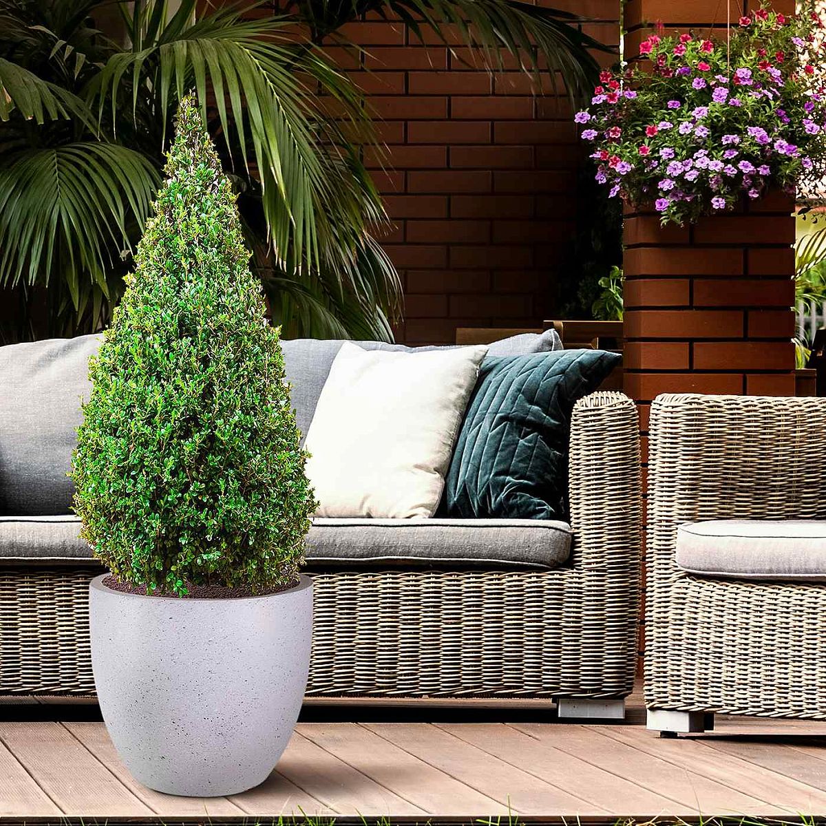 Contemporary Light Concrete Egg Planter by Idealist Lite