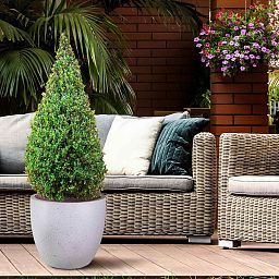 IDEALIST Lite Contemporary Light Concrete Egg Planter