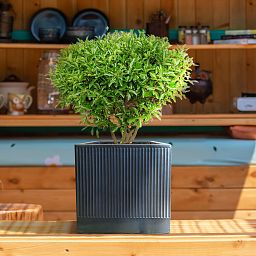 IDEALIST Lite Ribbed Square Outdoor Planter