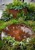 Fountain Waterbowl Outdoor Steel Shell Bowl Rusty Effect