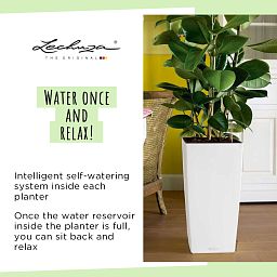 LECHUZA CUBICO Color Square Tall Poly Resin Self-watering Planter