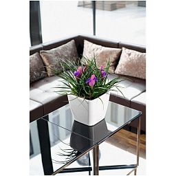 LECHUZA Quadro LS Square Poly Resin Self-watering Planter Set
