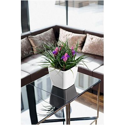 LECHUZA Quadro LS Square Poly Resin Self-watering Planter Set