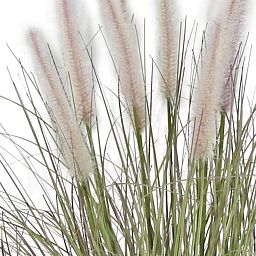 Dogtail with Metal Pot Artificial Grass Plant
