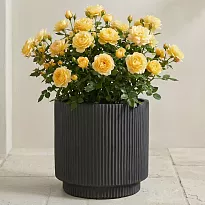 IDEALIST Lite Vertical Ribbed Black Cylinder Outdoor Planter D30 H30 c...