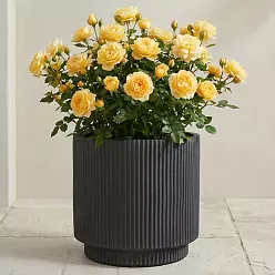 IDEALIST Lite Vertical Ribbed Cylinder Outdoor Planter