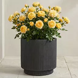IDEALIST Lite Vertical Ribbed Cylinder Outdoor Planter