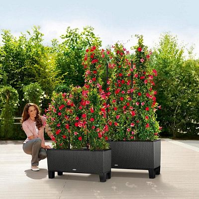 LECHUZA TRIO Cottage Trough Poly Resin Self-watering Planter