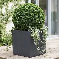 IDEALIST Lite Contemporary Flower Box Square Garden Planter, Faux Lead...
