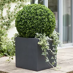 IDEALIST Lite Square Box Contemporary Light Concrete Planter