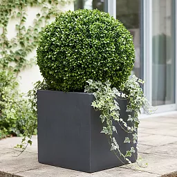 IDEALIST Lite Square Box Contemporary Light Concrete Planter
