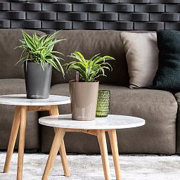 LECHUZA DELTINI|MINI-DELTINI Round Poly Resin Indoor Self-watering Planter