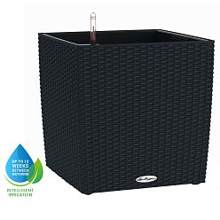 LECHUZA CUBE Cottage Square Poly Resin Self-watering Planter